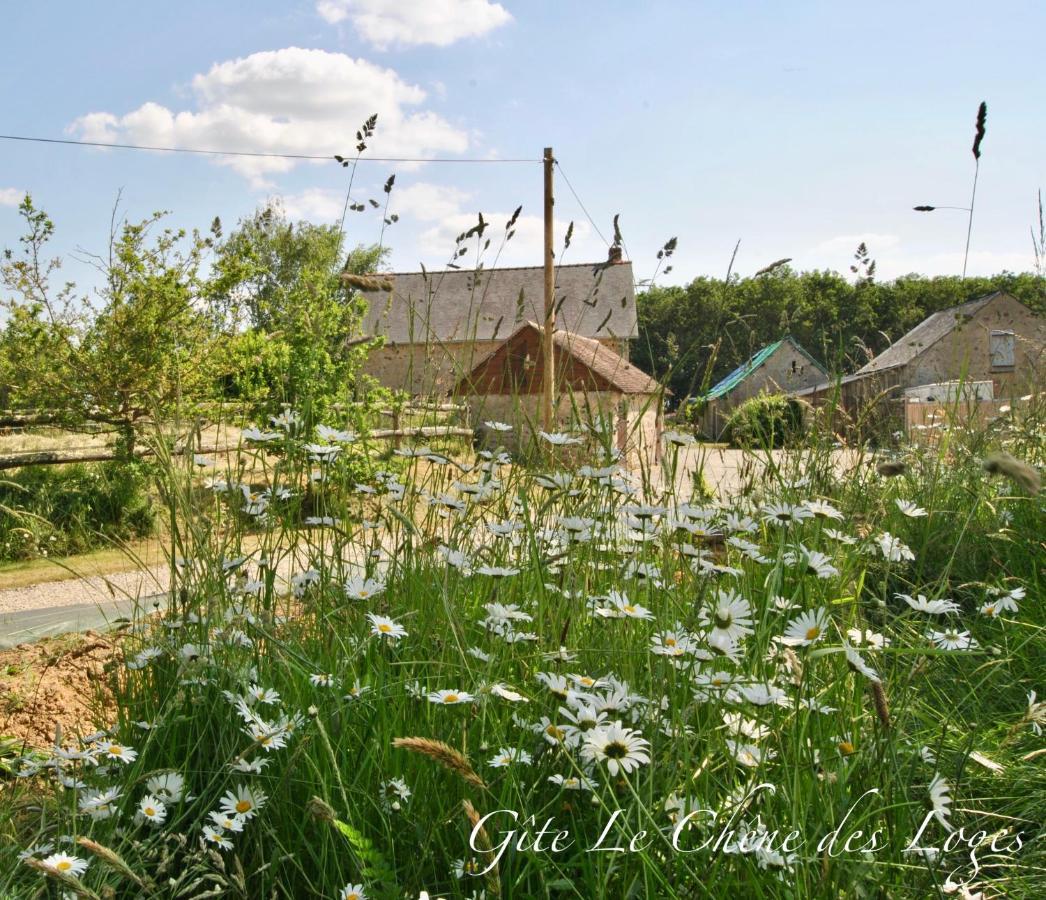 Gite Familial Pour 6 Pers En Campagne Bouere Екстер'єр фото